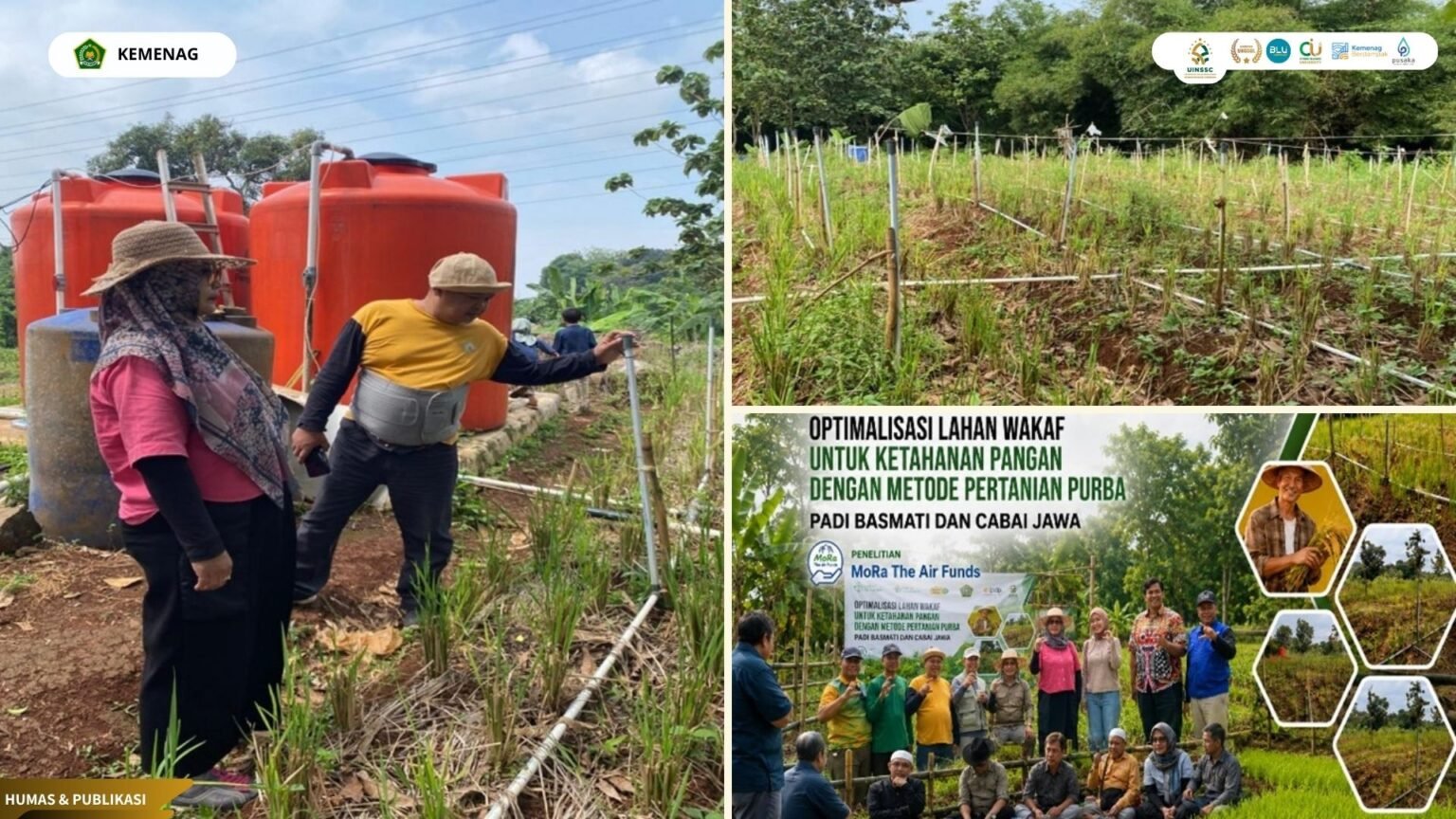 “Dari Sampah Menjadi Pangan: Riset UIN Siber Cirebon Buktikan Padi Bisa Tumbuh Tanpa Genangan Air”